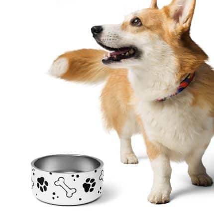 Paw and Bone Pet bowl